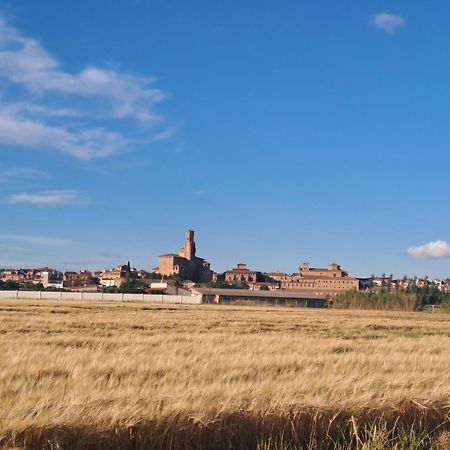 Apto Rural Alesves Esencia De Bardenas Navarra Villafranca ภายนอก รูปภาพ